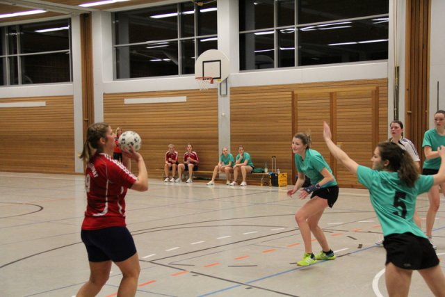2016_01_23 Landesliga Frauen